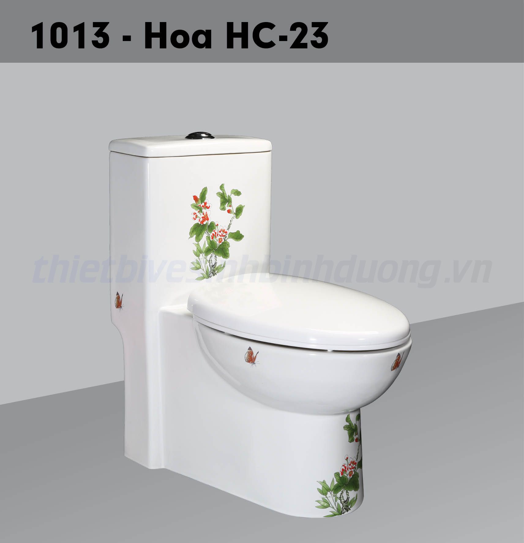 Bồn cầu sứ Hảo Cảnh HC 1013